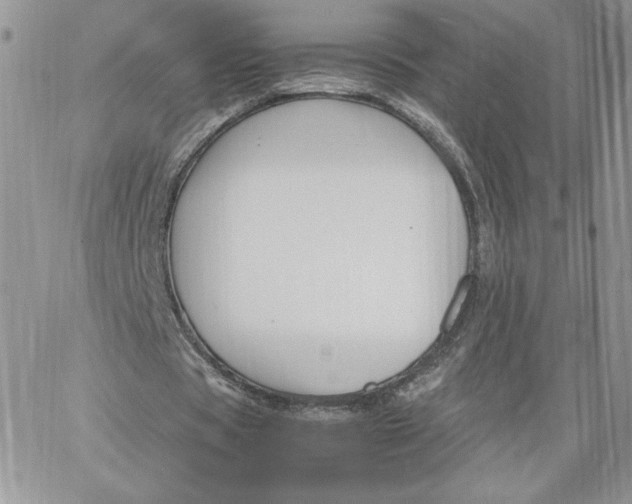 X0000066020529200603241537