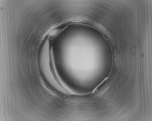 X0000066020530200603241537