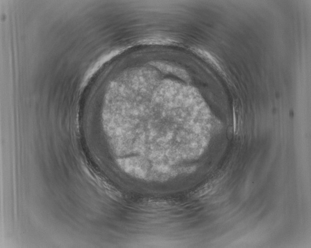 X0000066020531200603241537