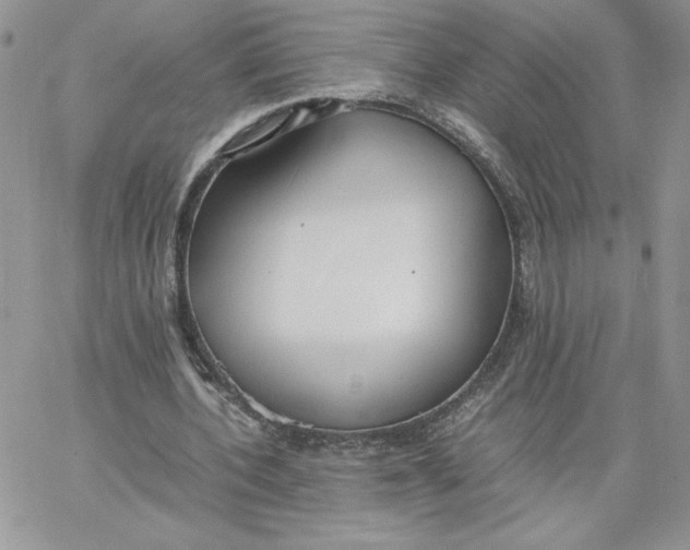 X0000066020532200603241537