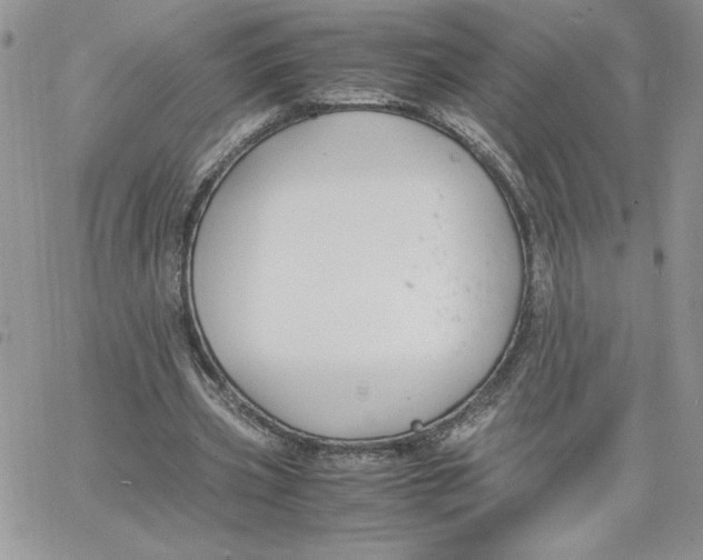 X0000066020533200603241537