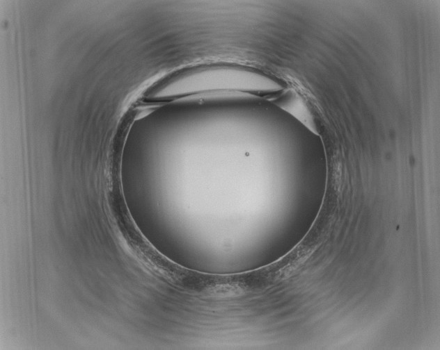 X0000066020536200603241537