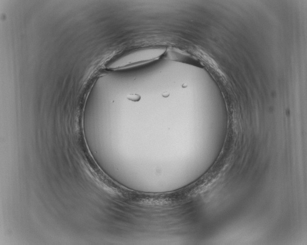 X0000066020537200603241537