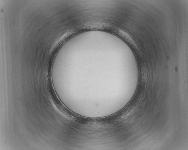 X0000066020538200603241537