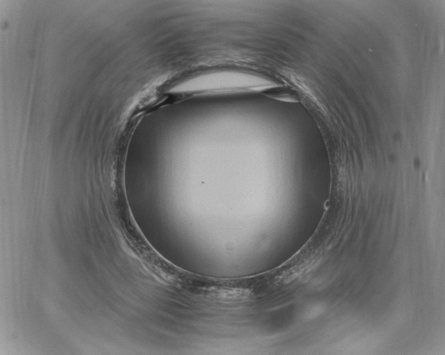 X0000066020539200603241537