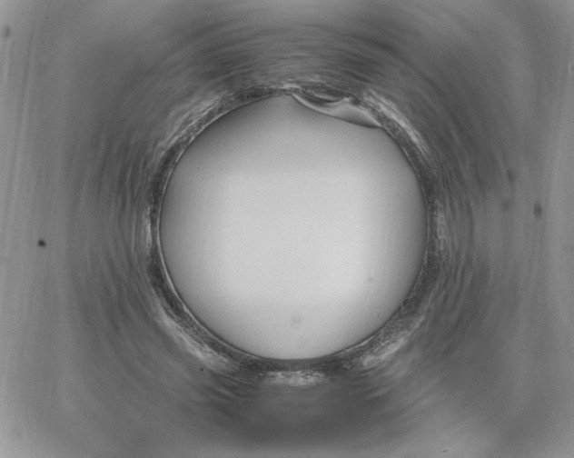 X0000066020541200603241537