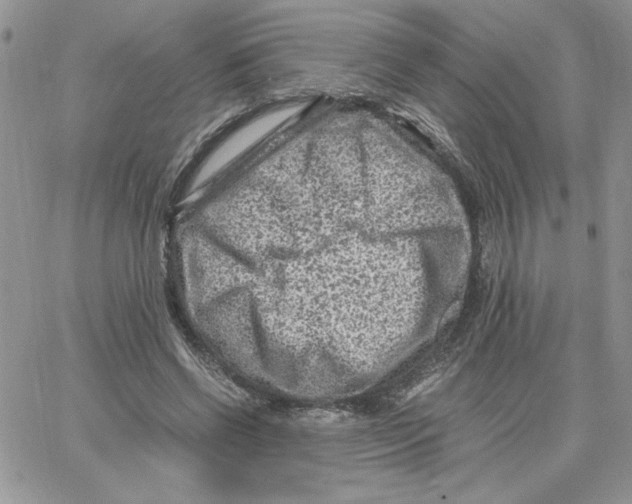 X0000066020542200603241538