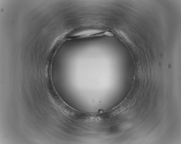 X0000066020543200603241538