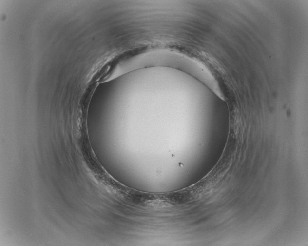 X0000066020544200603241538