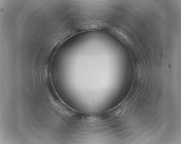 X0000066020546200603241538