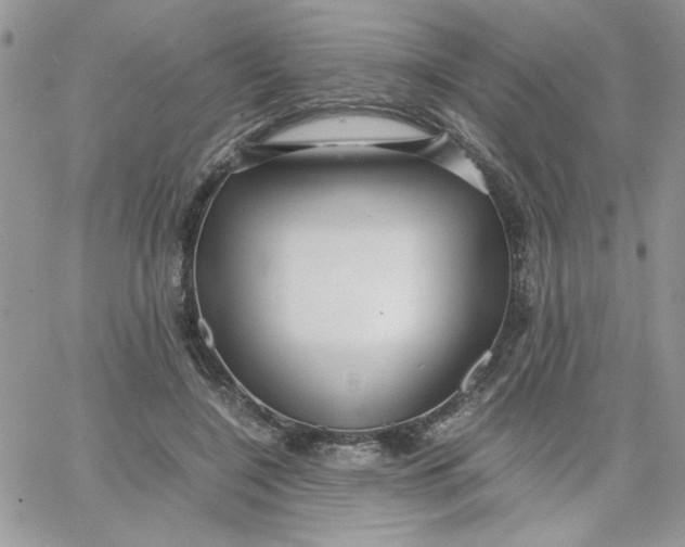 X0000066020548200603241538