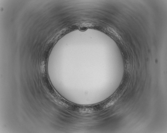 X0000066020549200603241538