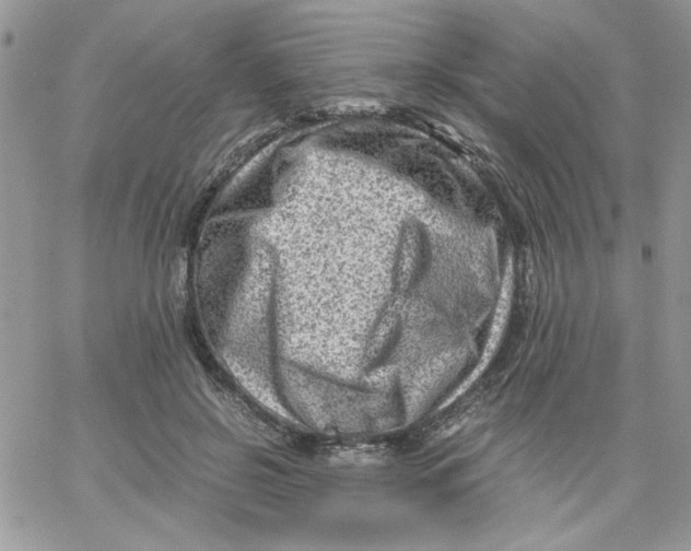 X0000066020550200603241538