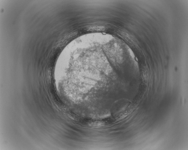 X0000066020551200603241538