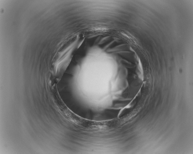 X0000066020552200603241538