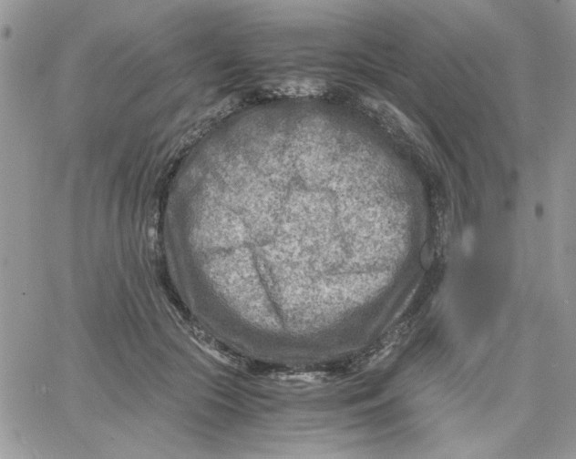 X0000066020553200603241538