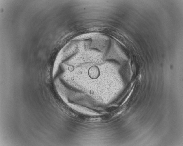 X0000066020554200603241538