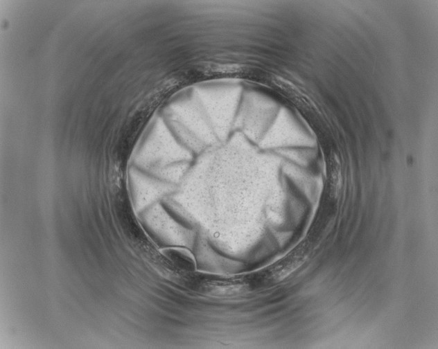 X0000066020555200603241538