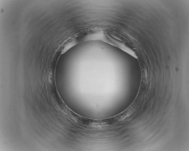 X0000066020556200603241538