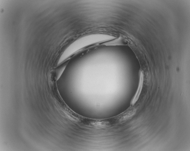 X0000066020558200603241538