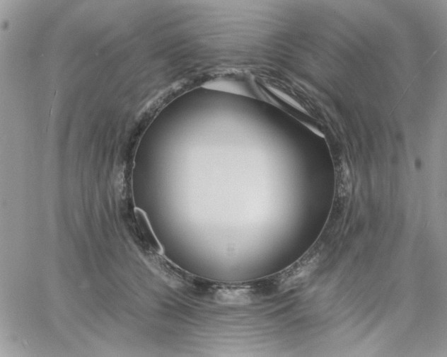 X0000066020560200603241538