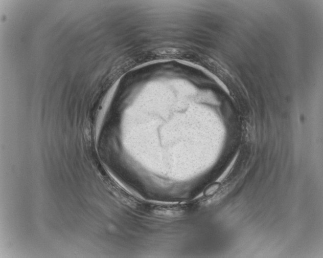 X0000066020561200603241538