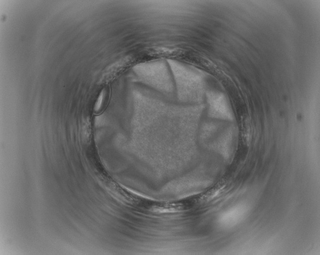 X0000066020563200603241538