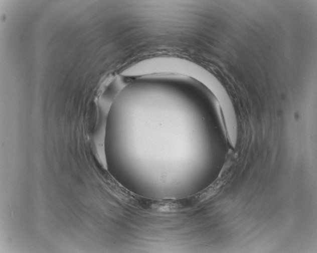 X0000066020564200603241538