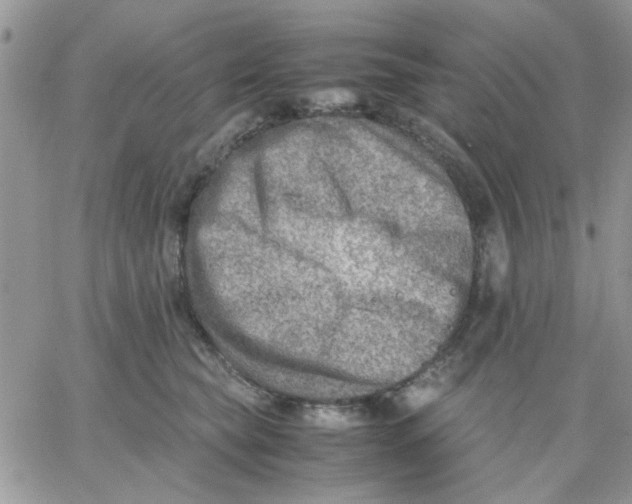 X0000066020565200603241538