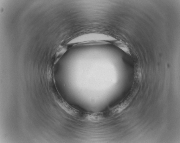 X0000066020568200603241538