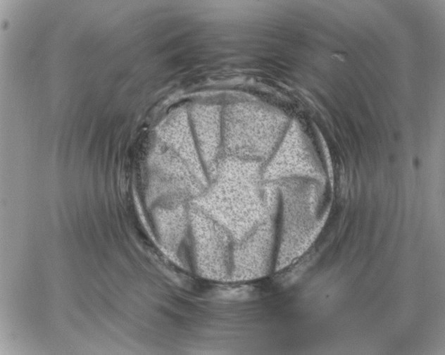 X0000066020569200603241538