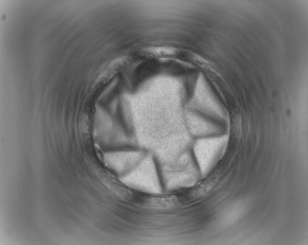 X0000066020571200603241538