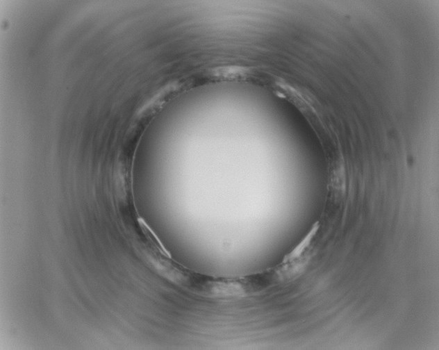 X0000066020572200603241538