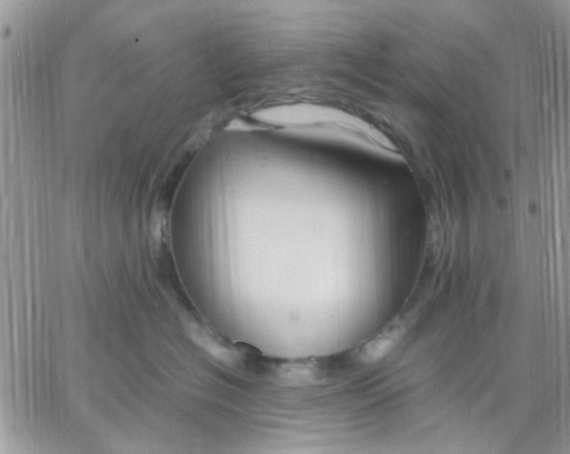 X0000066020574200603241538