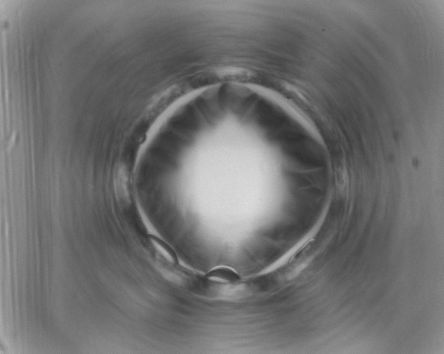 X0000066020575200603241538