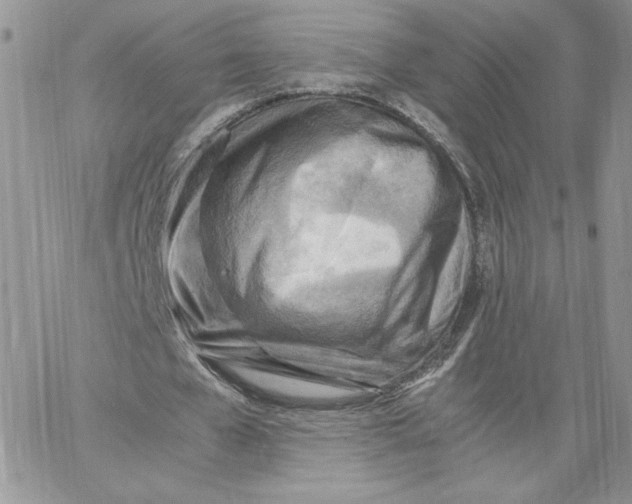 X0000066020577200603241537