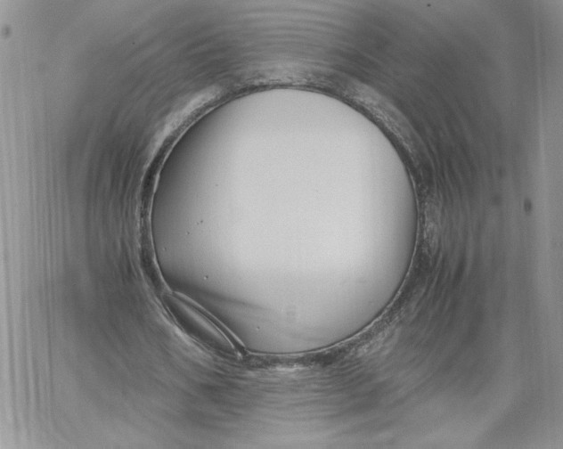 X0000066020578200603241537