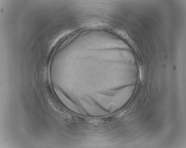 X0000066020579200603241537