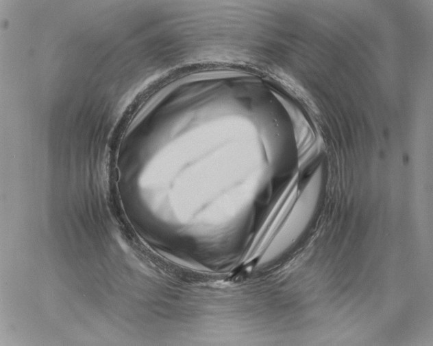 X0000066020580200603241537