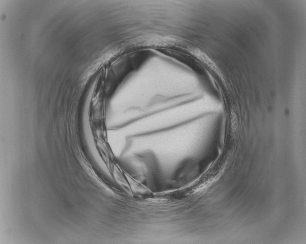 X0000066020581200603241537