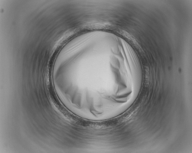 X0000066020582200603241537