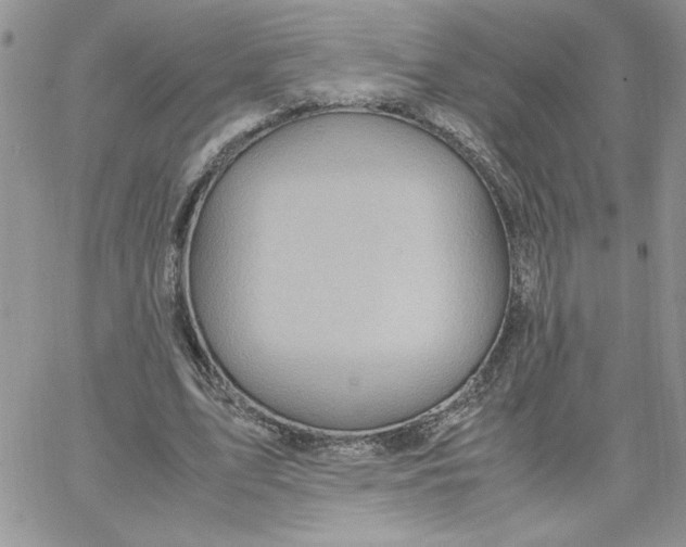 X0000066020583200603241537