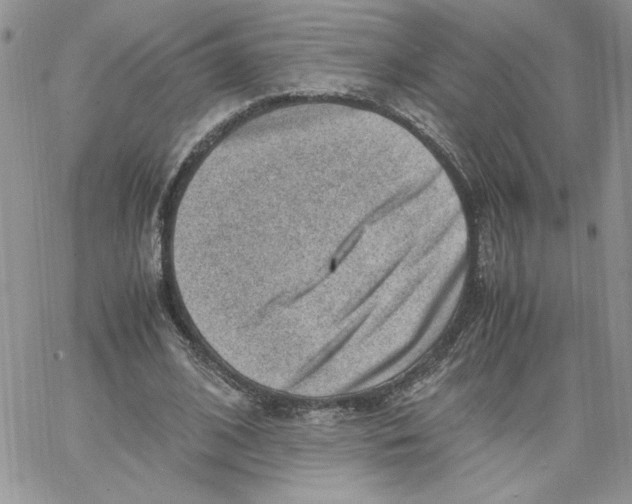 X0000066020584200603241537