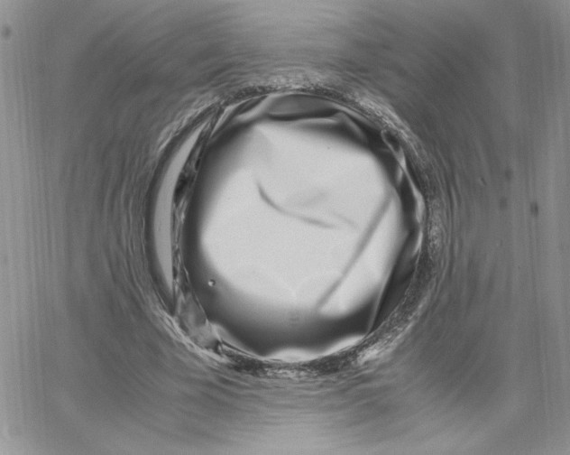 X0000066020585200603241537