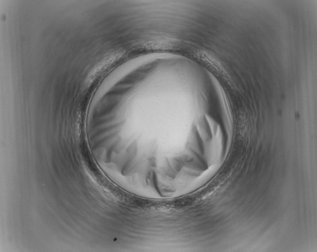 X0000066020586200603241537