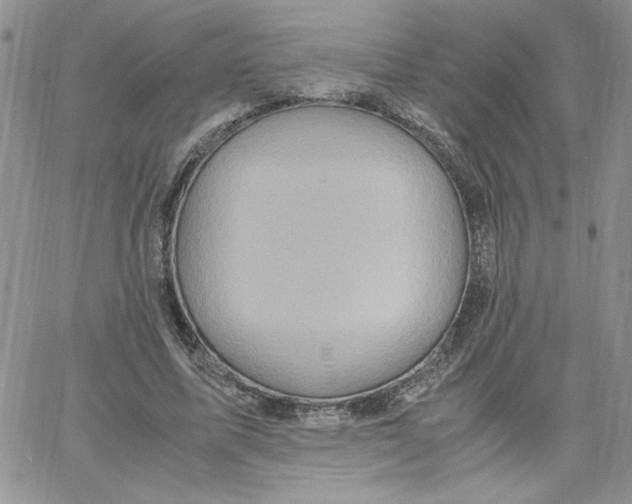 X0000066020587200603241537