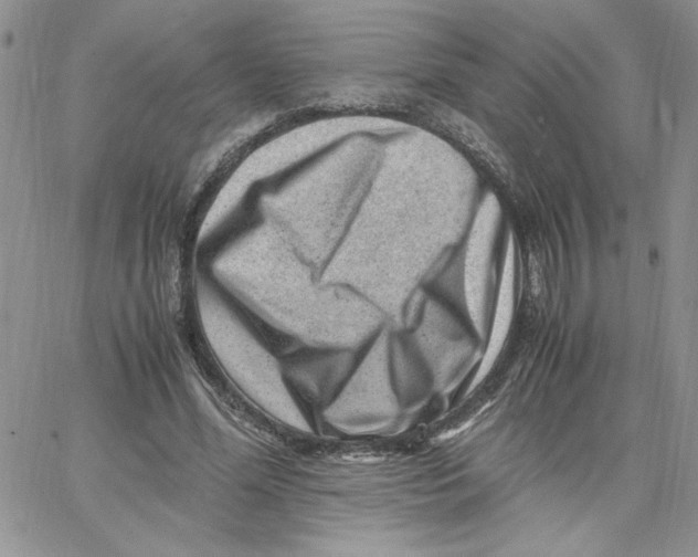 X0000066020588200603241537