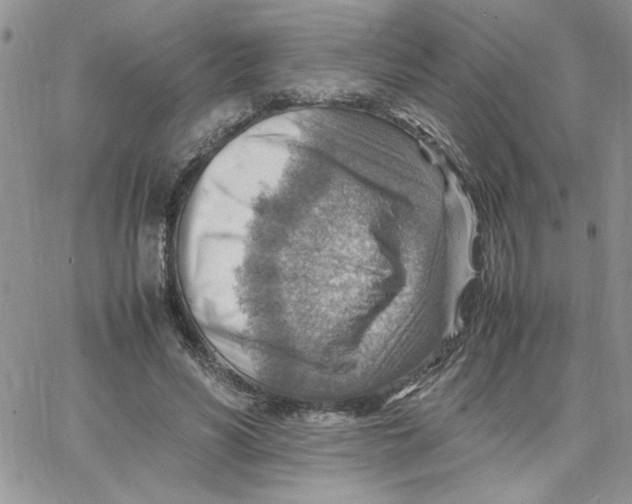 X0000066020590200603241537