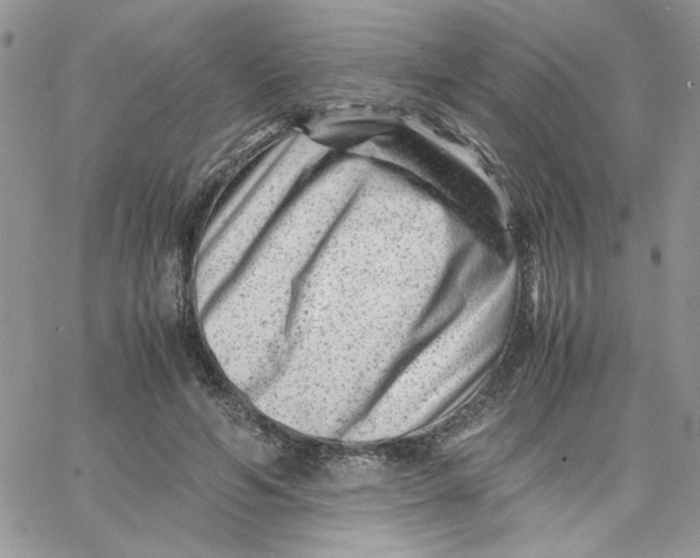 X0000066020594200603241537