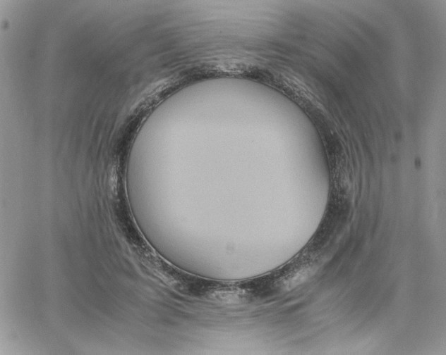 X0000066020595200603241537